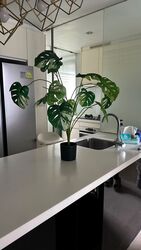 Vista Residences (D12), Condominium #638166711